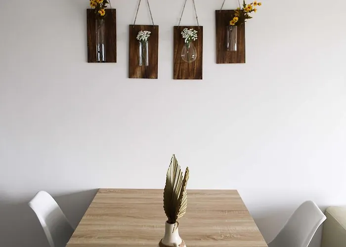 Sunset Peniche Surfcamp Daire