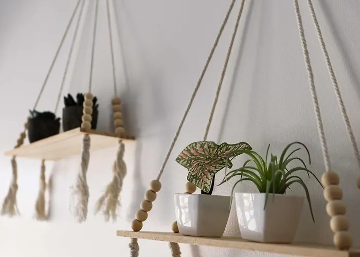 Sunset Peniche Surfcamp